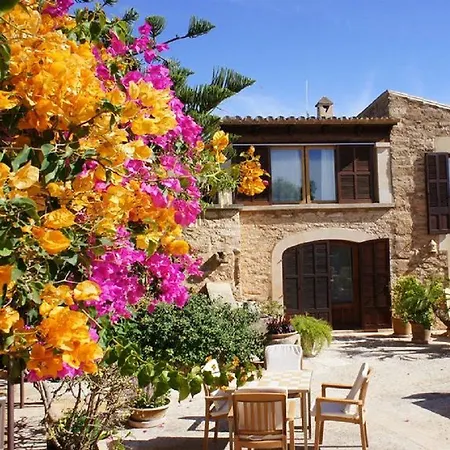 Hotel Sa Carrotja - Adults Only